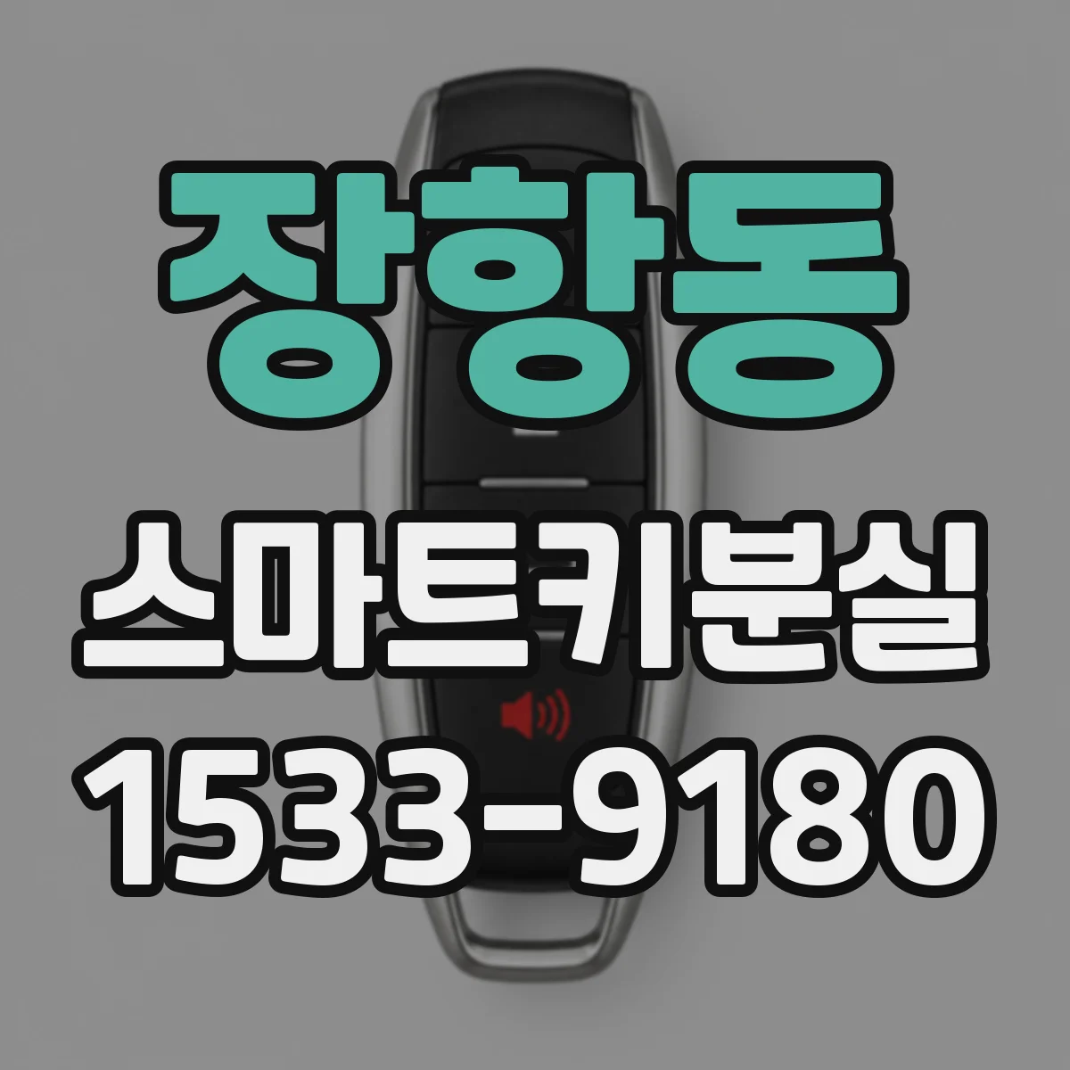 장항동 스마트키분실