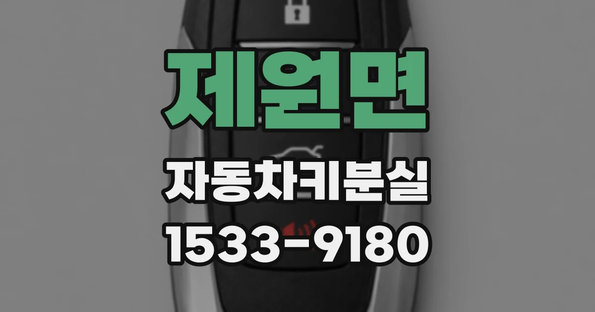 제원면 자동차키분실