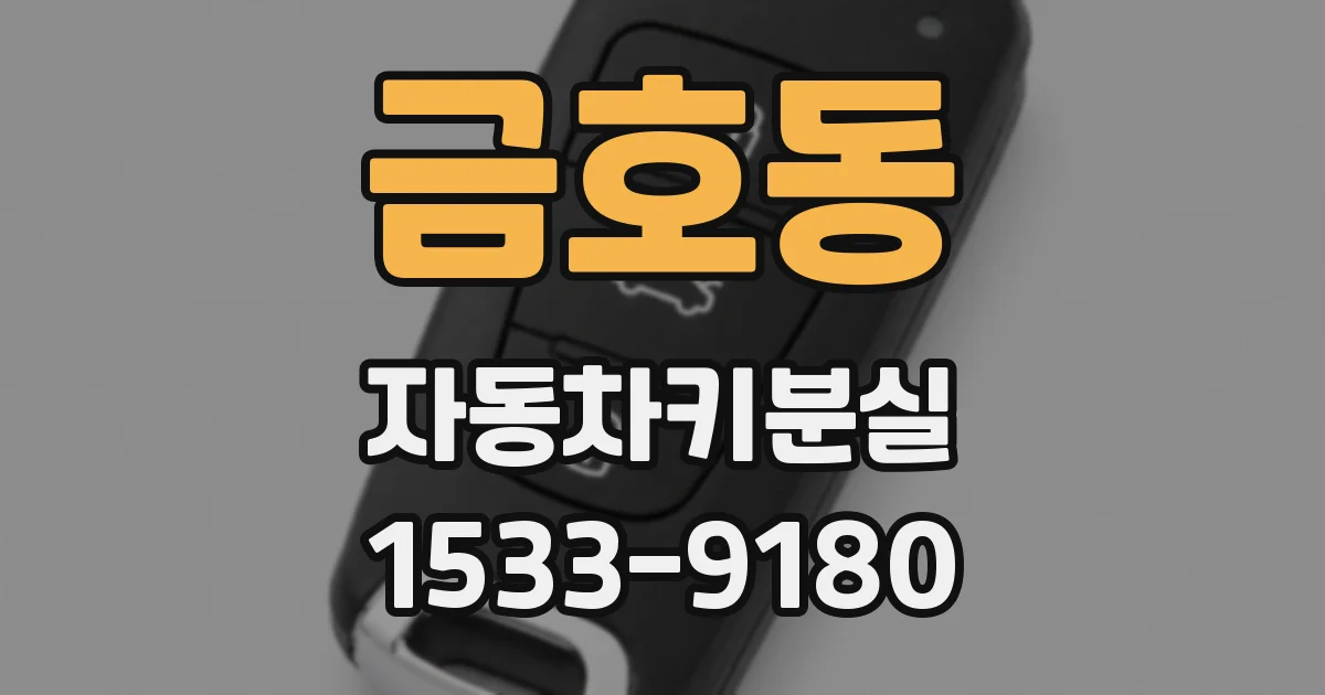 금호동 자동차키분실