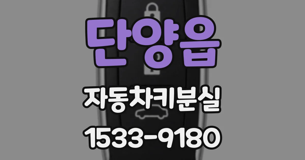 단양읍 자동차키분실