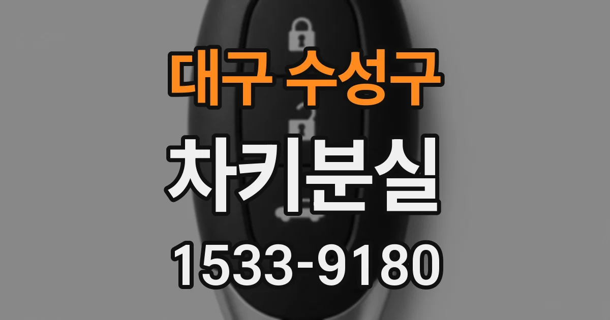 대구 수성구 차키분실
