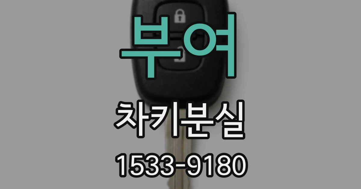 부여 차키분실