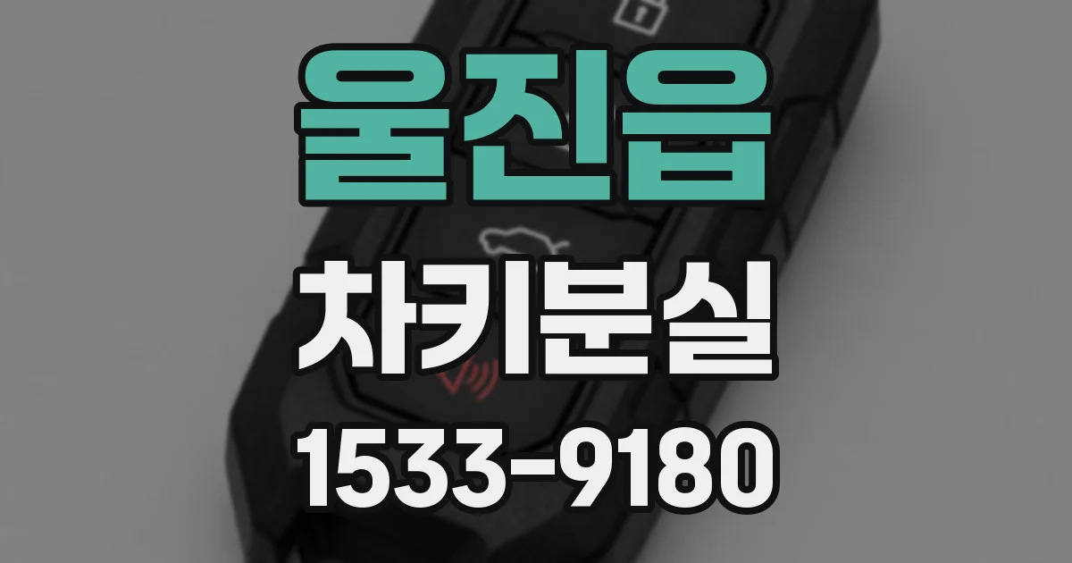 울진읍 차키분실