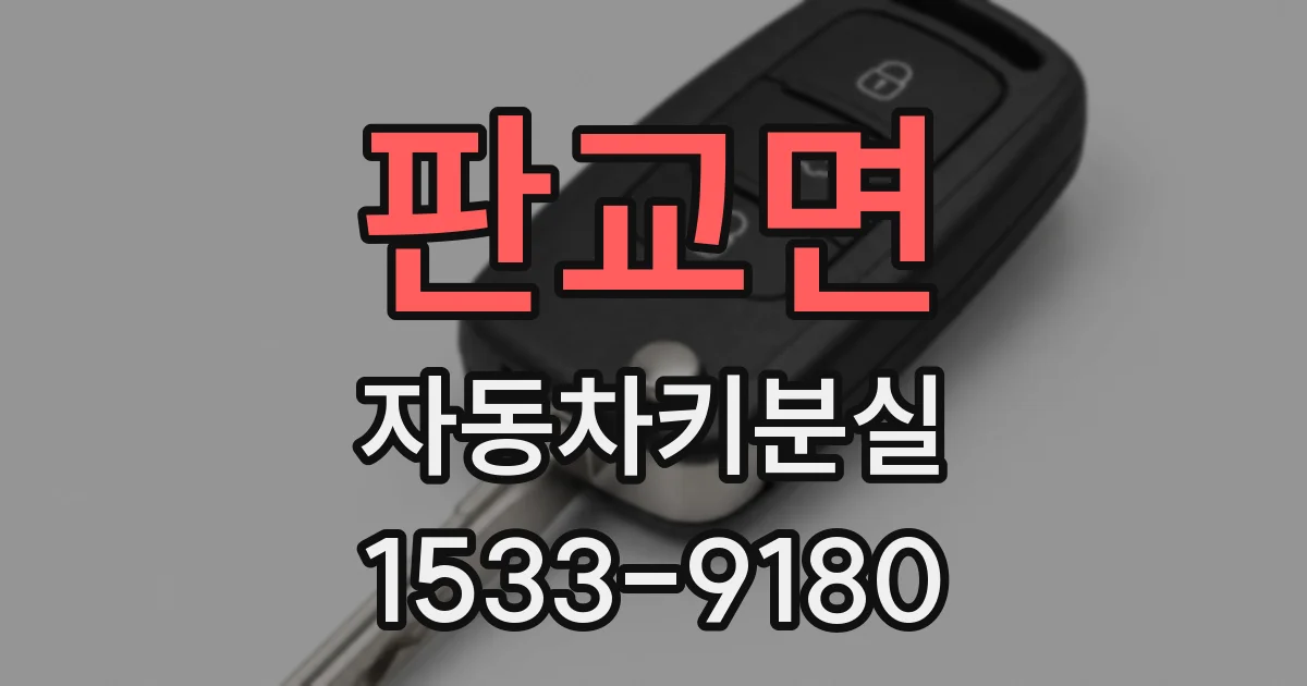판교면 자동차키분실