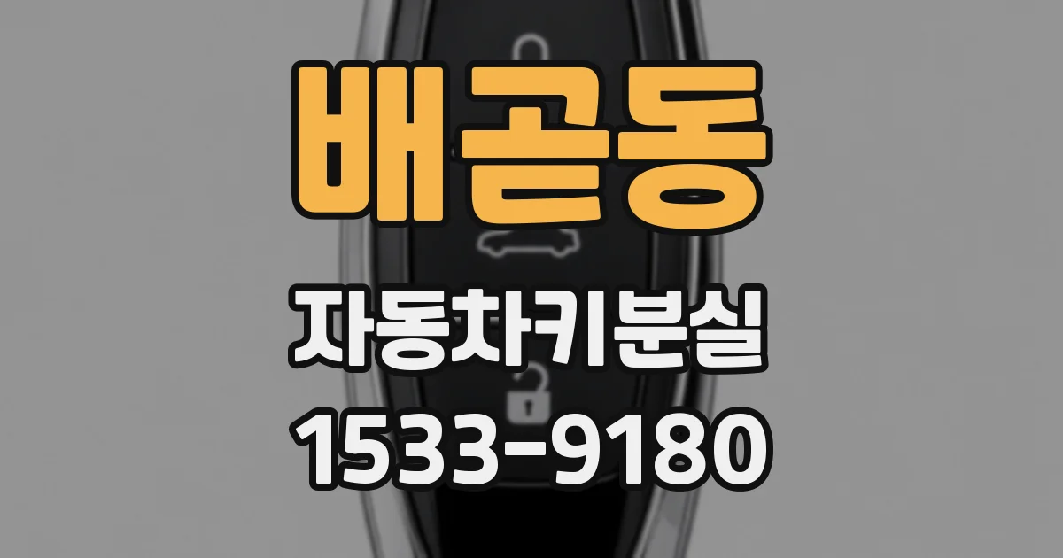 배곧동 자동차키분실