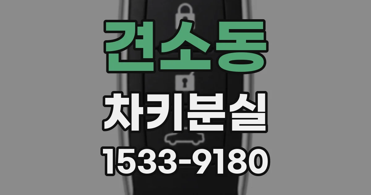견소동 차키분실
