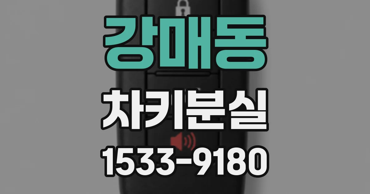 강매동 차키분실