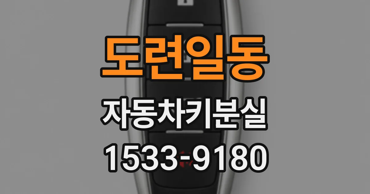 도련일동 자동차키분실