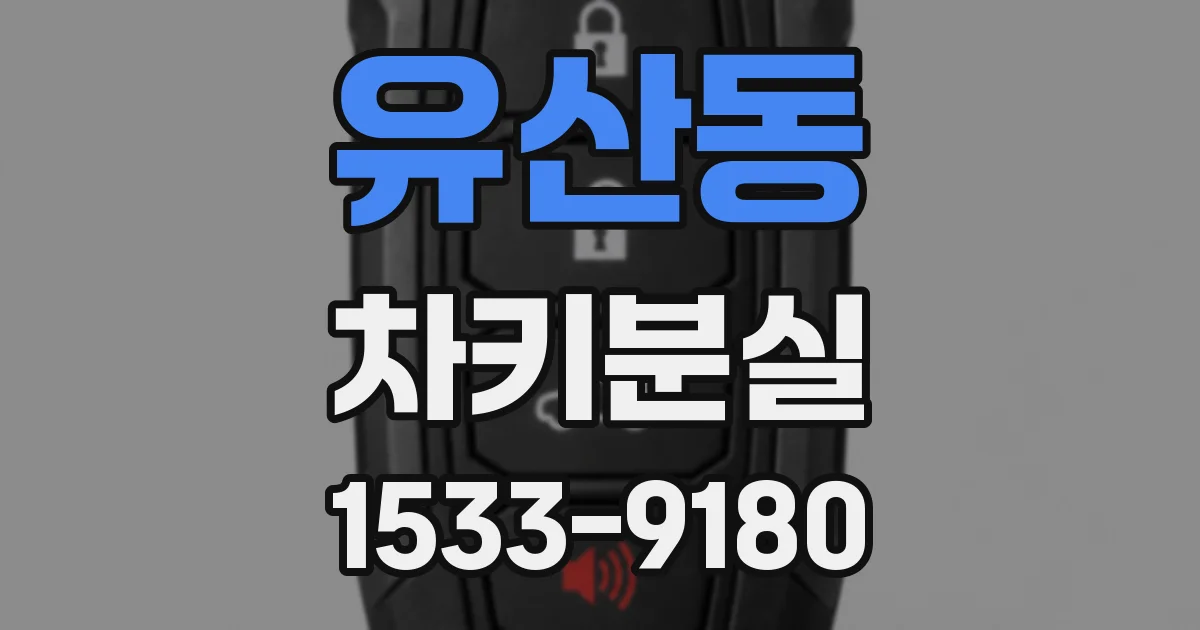 유산동 차키분실