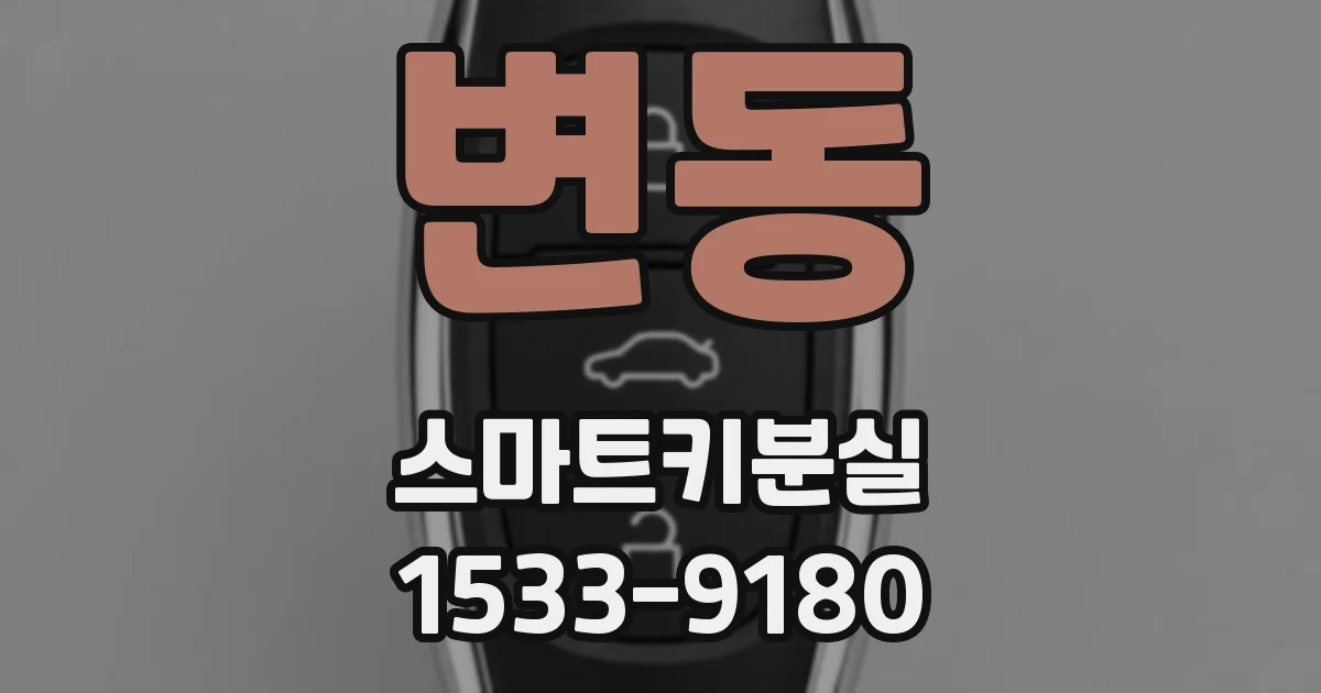 변동 스마트키분실