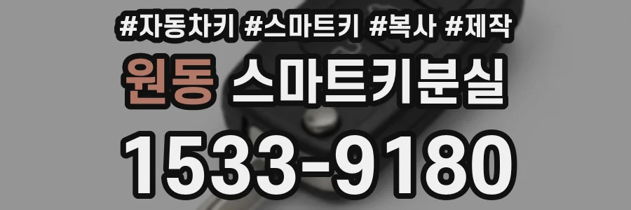 원동 스마트키분실