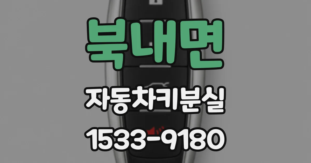 북내면 자동차키분실