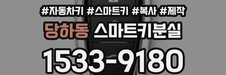 당하동 스마트키분실