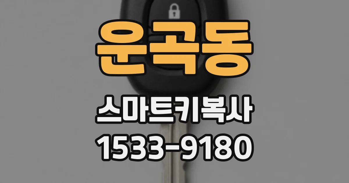 운곡동 스마트키복사
