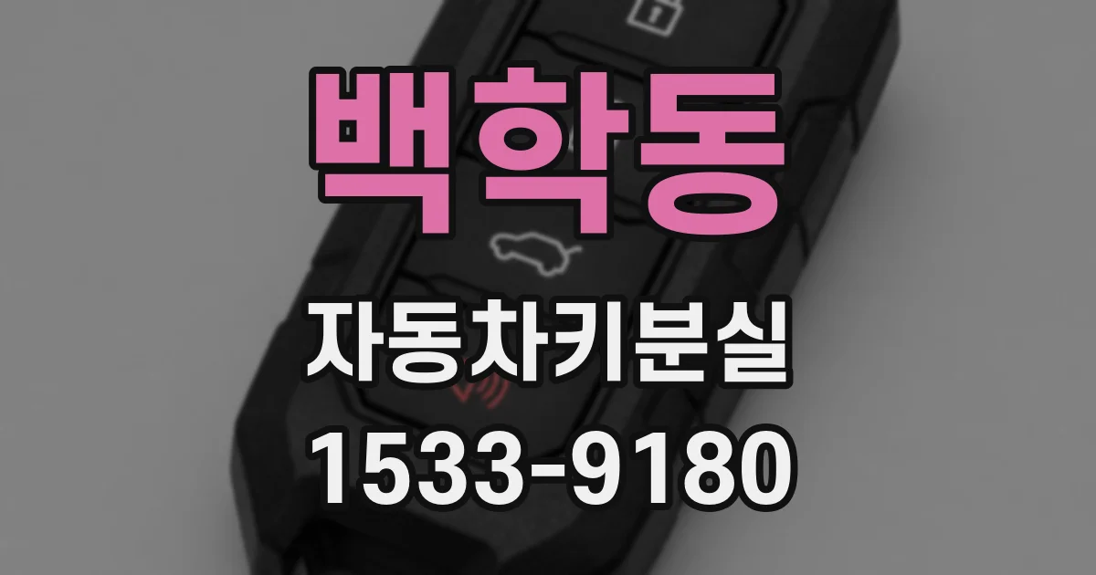 백학동 자동차키분실