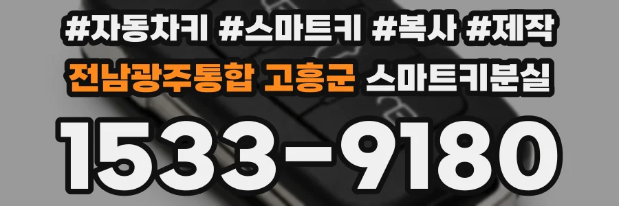 전남광주통합 고흥군 스마트키분실
