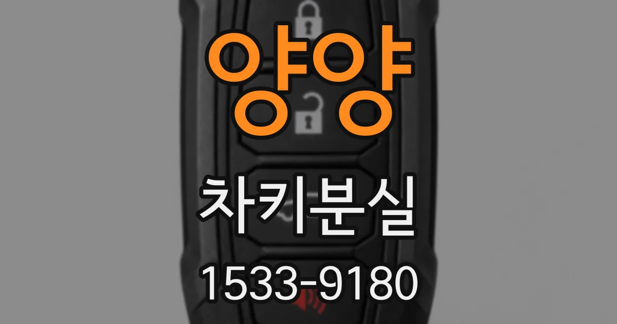 양양 차키분실