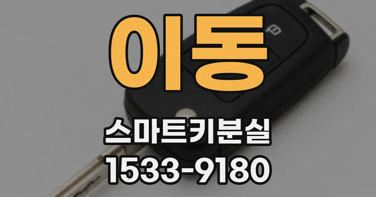 이동 스마트키분실