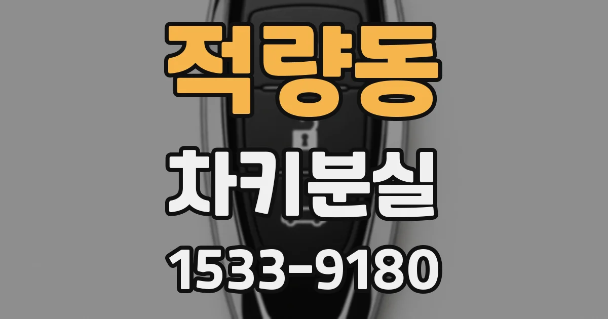 적량동 차키분실