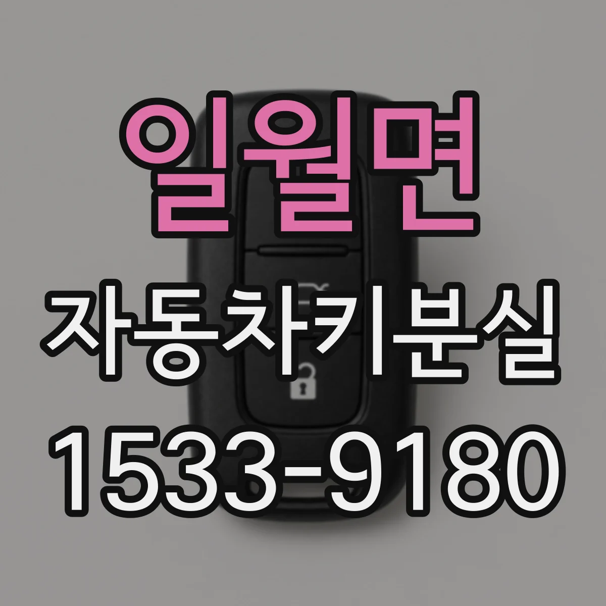 일월면 자동차키분실