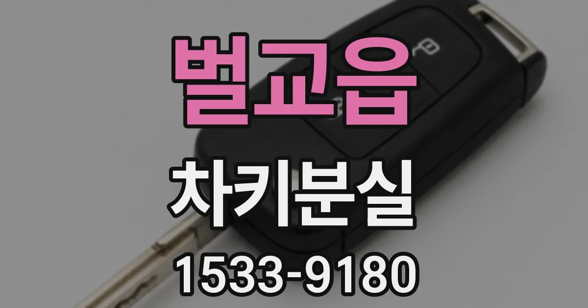 벌교읍 차키분실