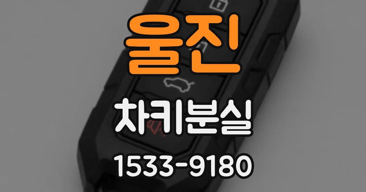 울진 차키분실