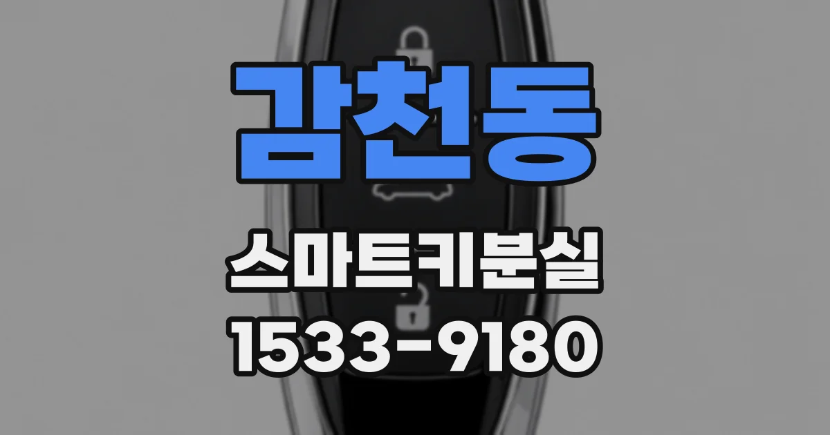 감천동 스마트키분실