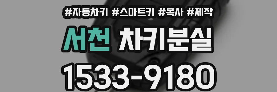 서천 차키분실