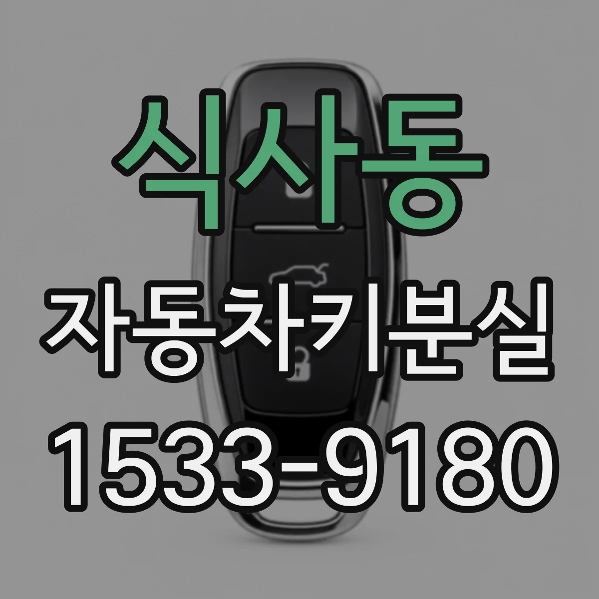 식사동 자동차키분실