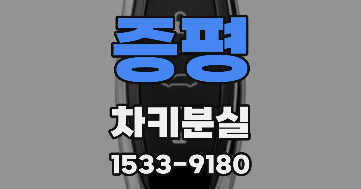 증평 차키분실