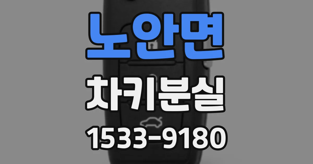 노안면 차키분실