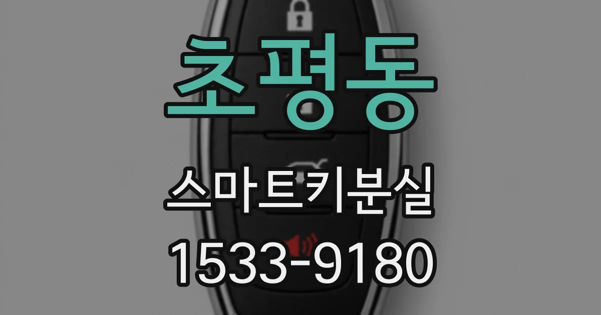 초평동 스마트키분실