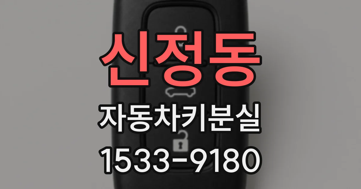 신정동 자동차키분실