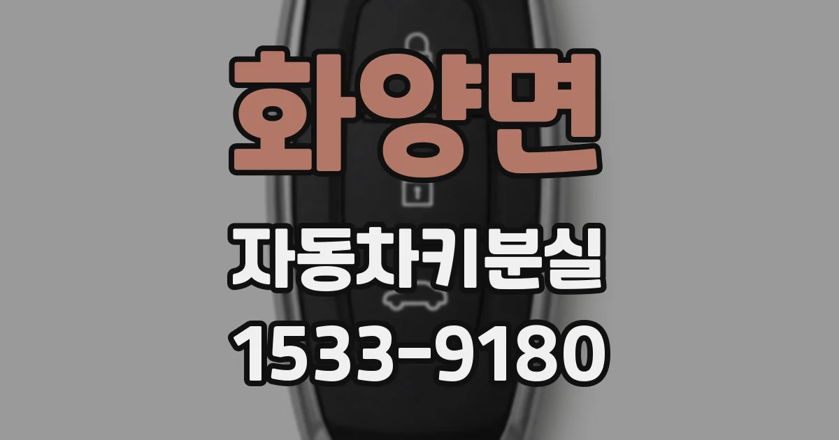 화양면 자동차키분실