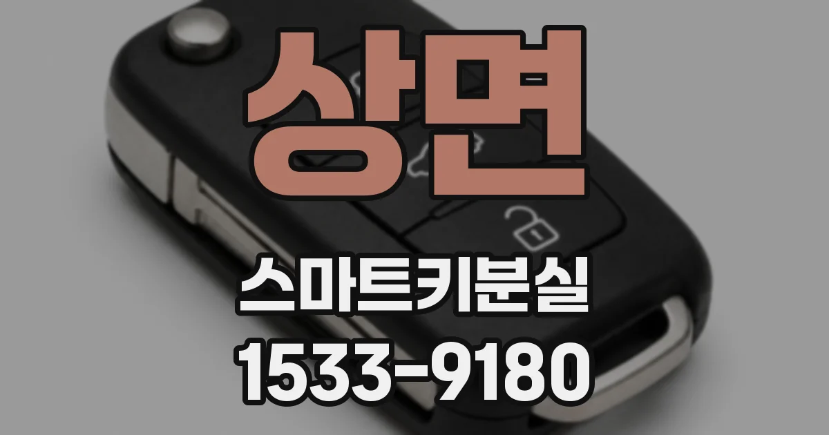 상면 스마트키분실