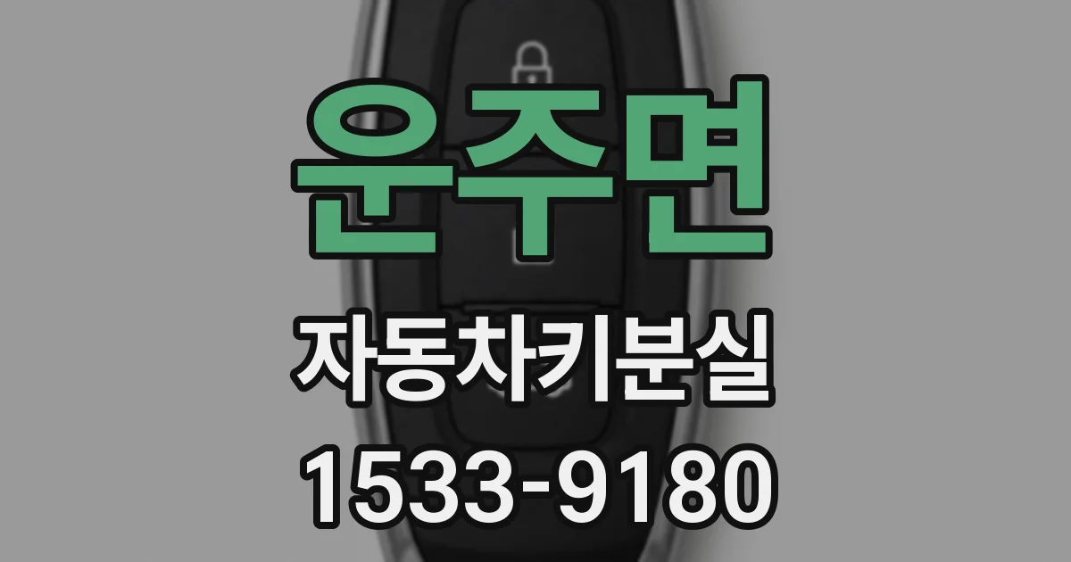 운주면 자동차키분실