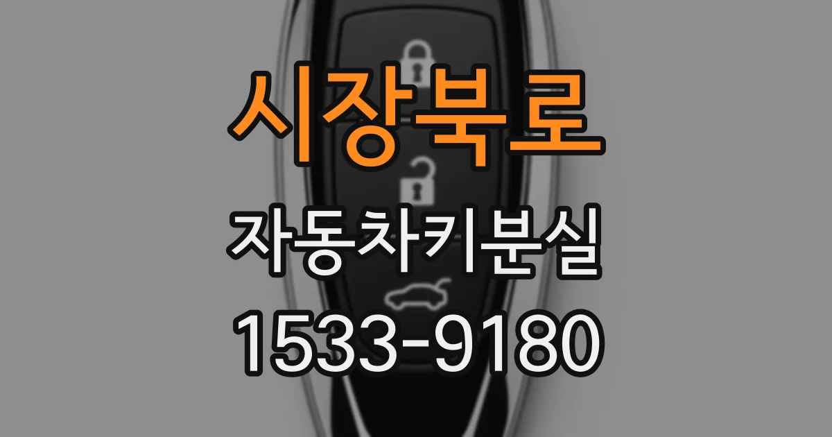 시장북로 자동차키분실