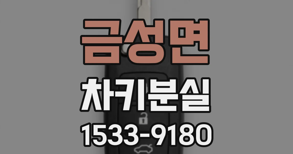 금성면 차키분실