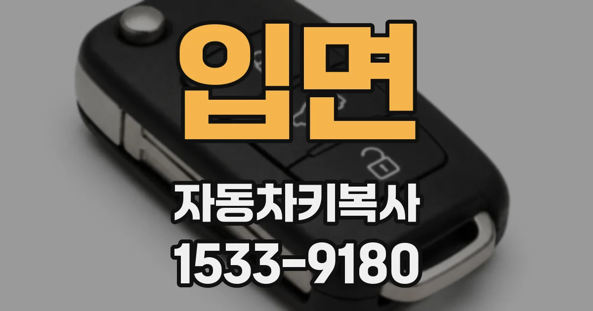 입면 자동차키복사