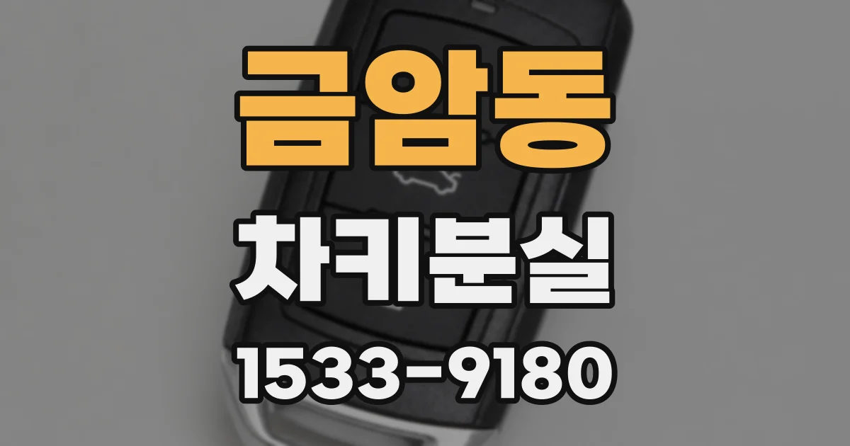 금암동 차키분실