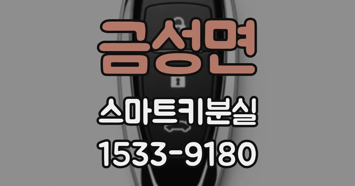 금성면 스마트키분실