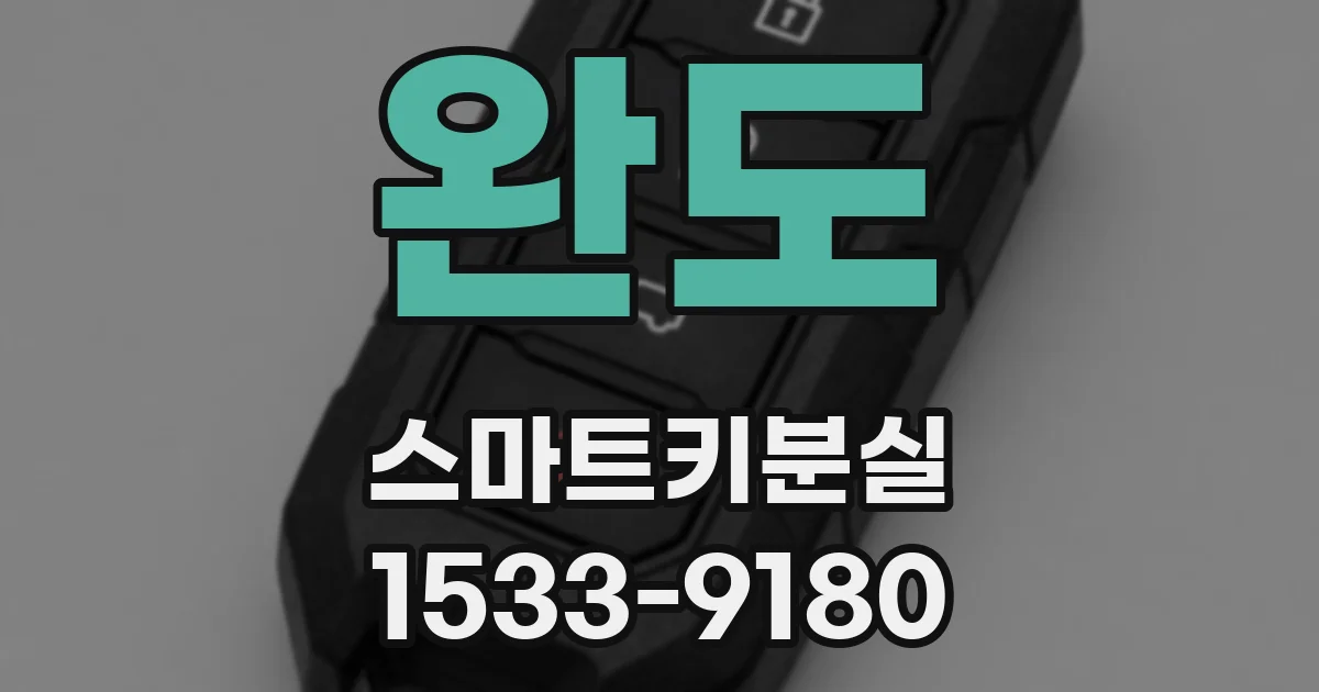 완도 스마트키분실