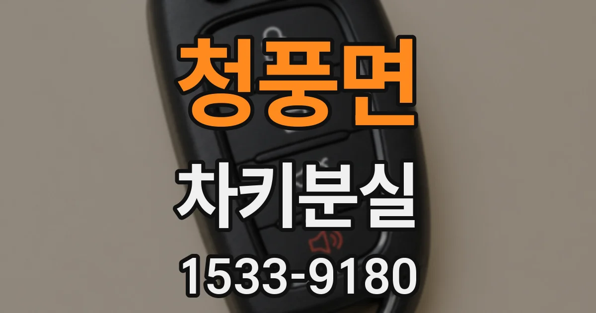 청풍면 차키분실