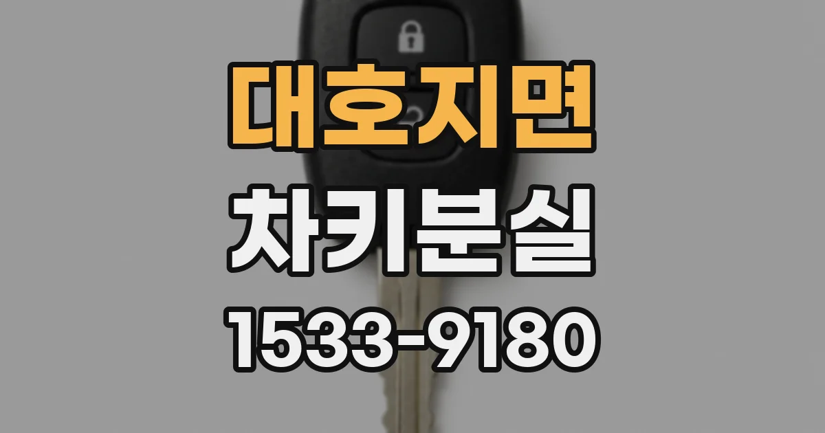 대호지면 차키분실