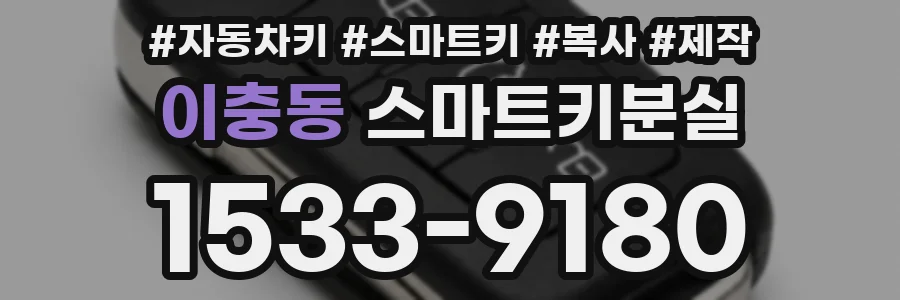 이충동 스마트키분실