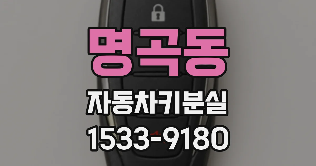 명곡동 자동차키분실
