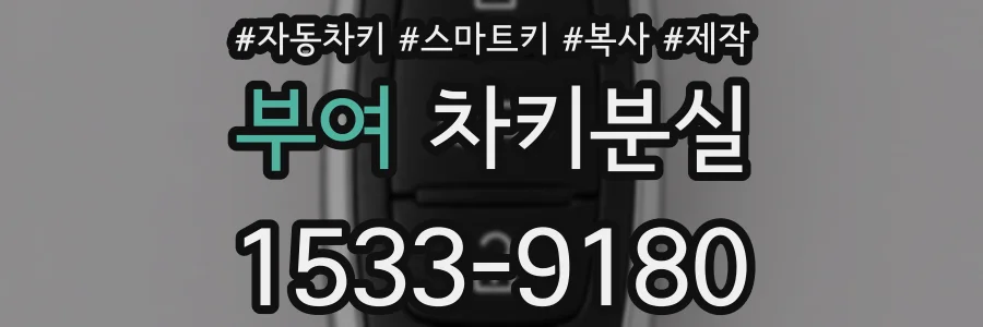 부여 차키분실