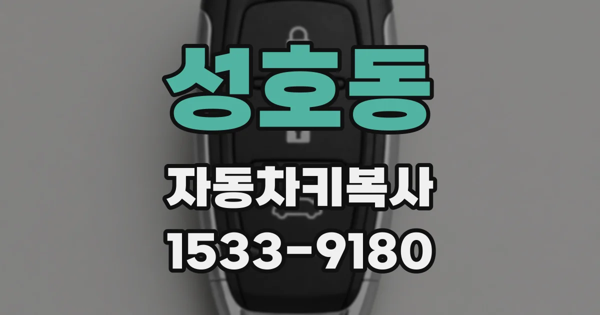 성호동 자동차키복사