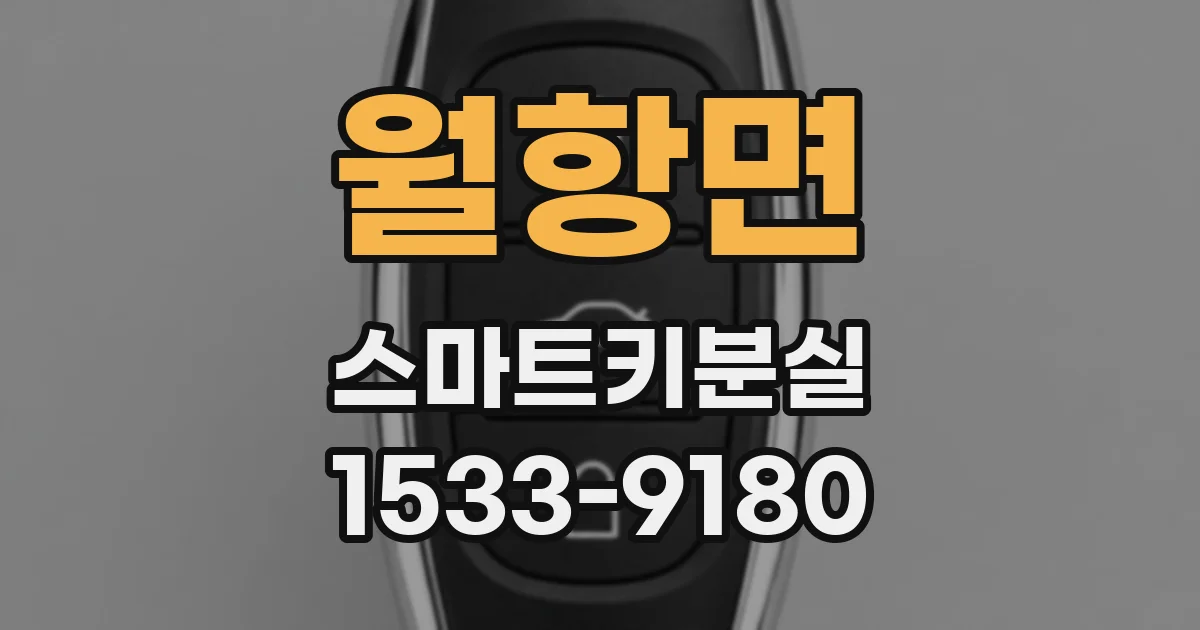 월항면 스마트키분실