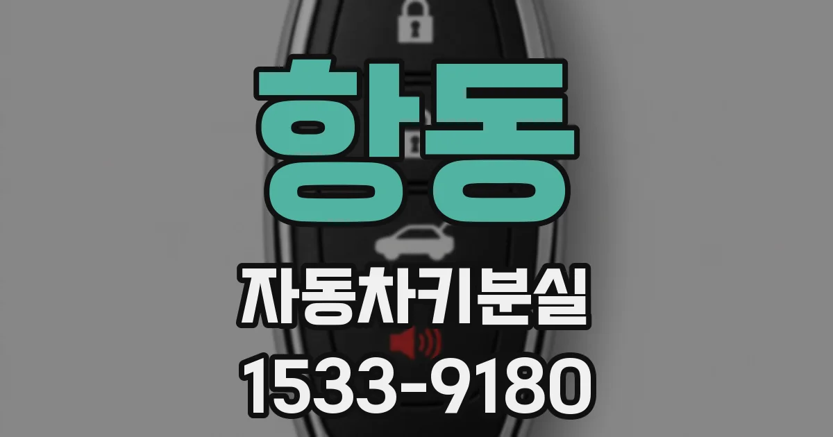 항동 자동차키분실